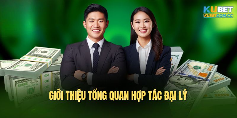 Giới thiệu tổng quan hợp tác đại lý