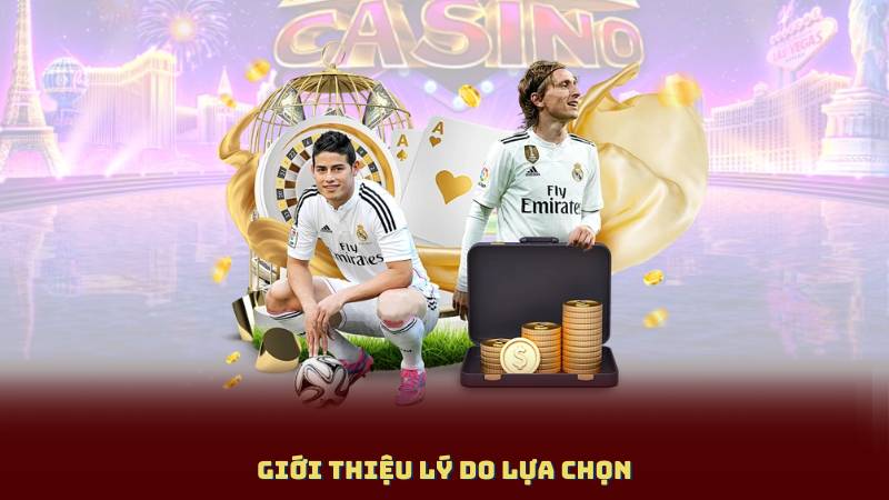 Giới thiệu lý do lựa chọn